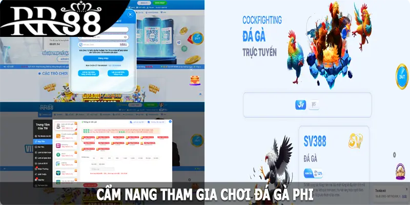 Cẩm nang tham gia chơi đá gà Phi tại RR88