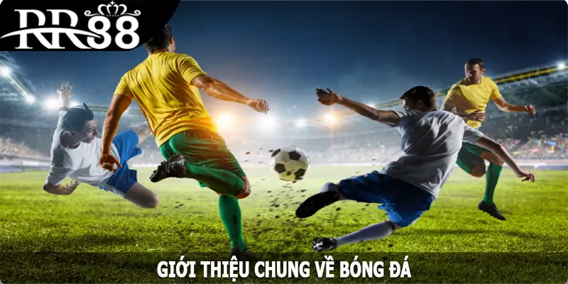 Giới thiệu chung về bóng đá tại RR88