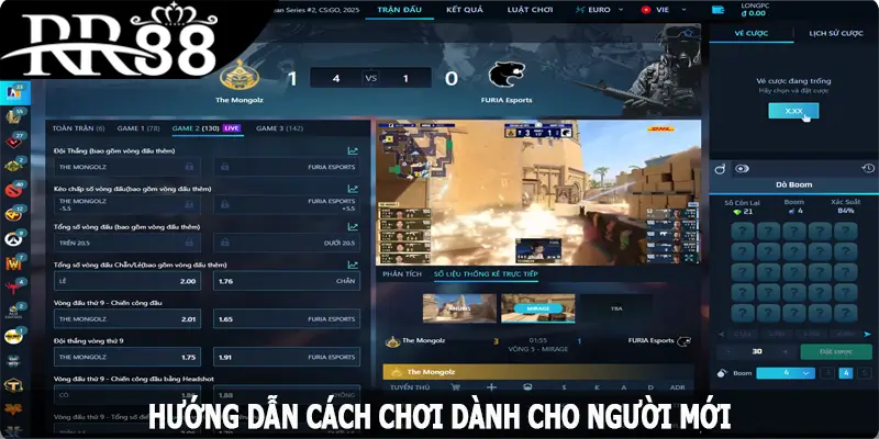 Hướng dẫn cách chơi dành cho người mới tại RR88