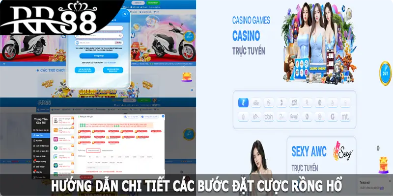 Hướng dẫn chi tiết các bước đặt cược Rồng hổ tại RR88