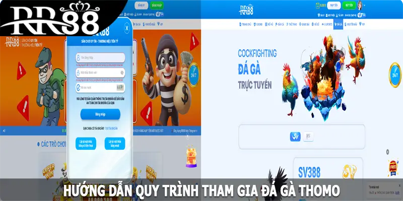 Hướng dẫn quy trình tham gia đá gà Thomo tại nhà cái