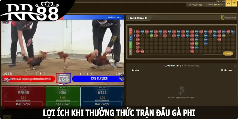 Lợi ích khi thưởng thức trận đấu gà Phi ở RR88