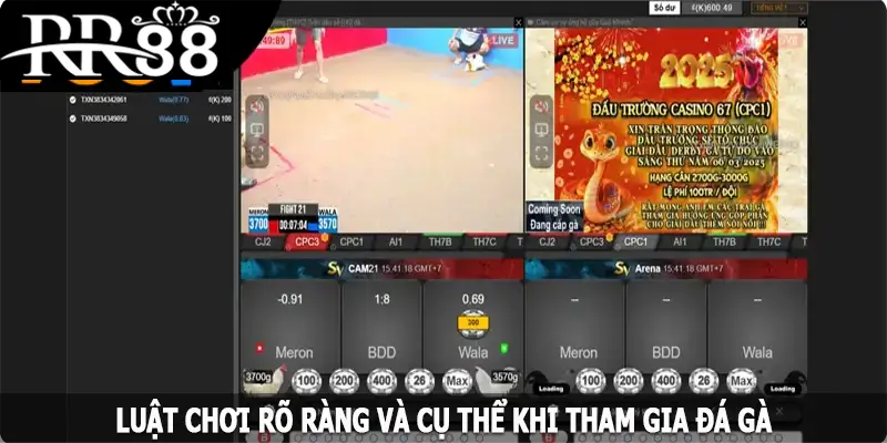 Luật chơi rõ ràng và cụ thể khi tham gia đá gà
